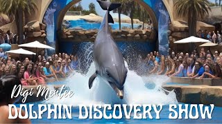 Dolphin Dancing Extravaganza: Unforgettable Performance at SeaWorld San Diego! Dolphin Playing