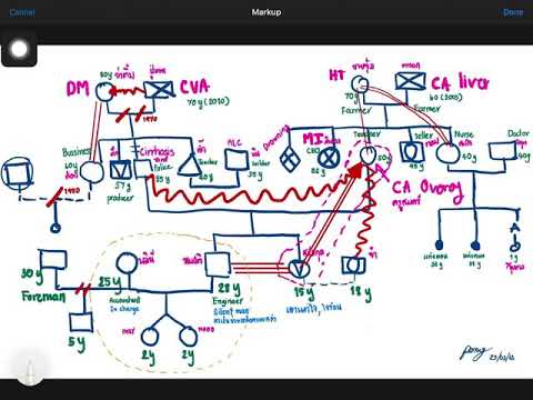 อธิบายแผนผังครอบครัวที่สมมติขึ้น