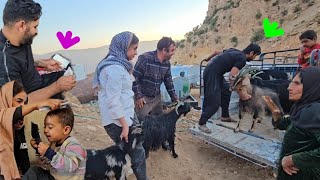 Download Lagu 💞 Mirza and Saifullah's efforts in the mountains and nomads 🌄🕯️Pure nomadic life with brothers MP3 Download Lagu 💞 Mirza and Saifullah's efforts in the mountains and nomads 🌄🕯️Pure nomadic life with brothers MP3