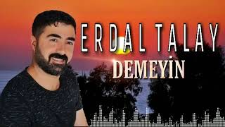 erdal Taylan deneyin demeyin bu halimi yare demeyim Resimi