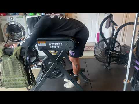 Reverse Hyper - Leg Curls