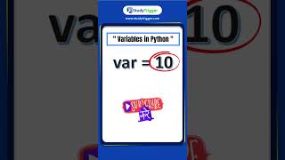 "Python Fundamentals: Understanding Variables | StudyTrigger.com Short #coding #viral  #codingshorts