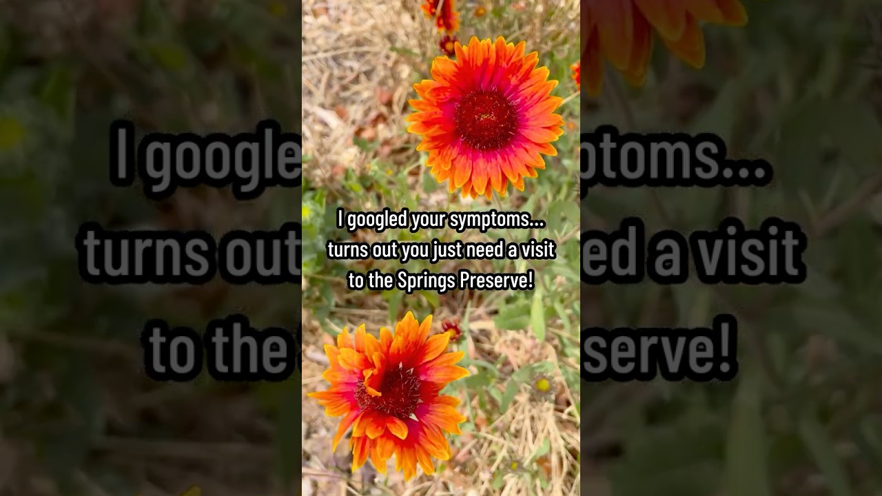 This is your sign to visit the Springs Preserve in Las Vegas