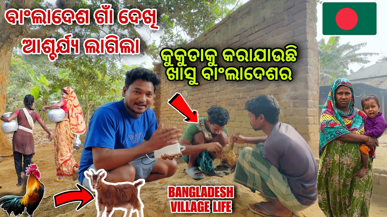 କୁକୁଡାକୁ କରାଯାଉଛି ଖାସୁ ବାଂଲାଦେଶେରେ|| ବାଂଲାଦେଶ ଗାଁ ଦେଖି ଆଶ୍ଚର୍ଯ୍ୟ ଲାଗିଲା BANGLADESH VILLAGE LIFE