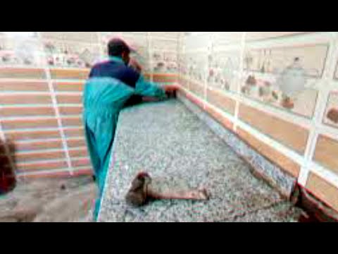 كيفية تركيب طاولة المطبخ الجرانيت طاولة المطبخ كاملة