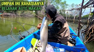 Auto Strike Babon !!! Tes Umpan Mancing Belanak Terbaru
