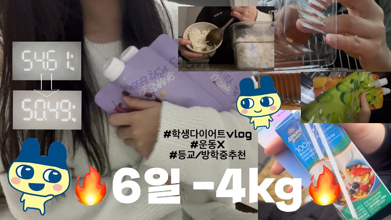 6일 -4kg💥 학생 다이어트 브이로그 | 단기간 | 단백질쉐이크 | 일주일 | 식단 | 니아르 | 운동X | 등교 | 방학 | 졸업사진 | 꿀팁 | 방법 | 급식