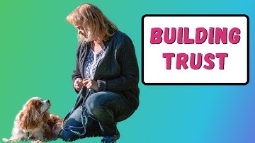 How to Build Trust with Your Dog | Dog Behavior Chat