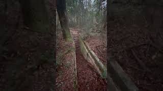 Mannfield Ghost Town Florida