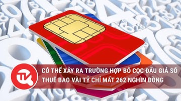 Có thể xảy ra trường hợp bỏ cọc đấu giá số thuê bao vài tỷ chỉ mất 262 nghìn đồng