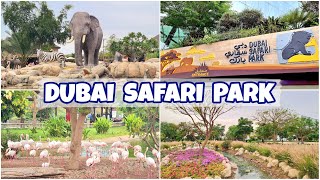 DUBAI SAFARI PARK ADVENTURE || Dubai Safari Park Full Tour