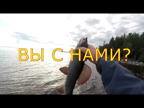 #Рыбалка#Озеро#Хариус#Природа#Красота#Отдых#Гостевой_дом Вечером на озере.