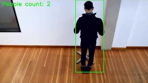 People Counter App (Intel Edge AI for IoT Developers)