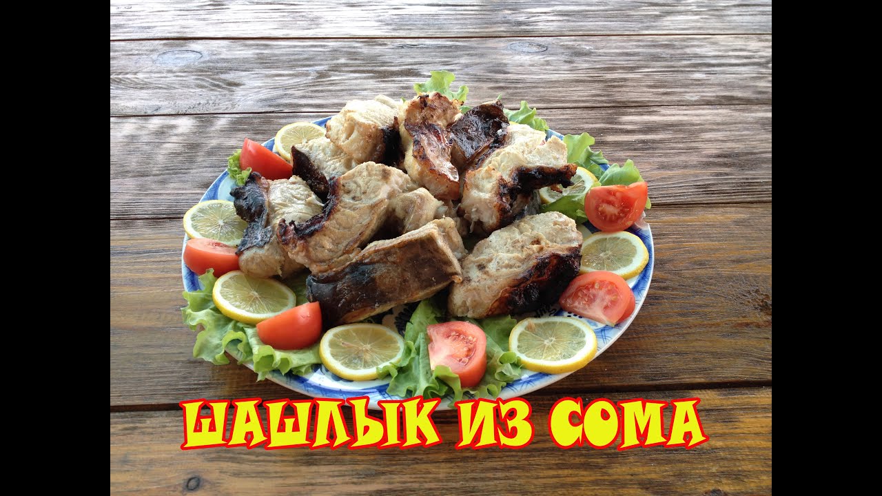 Шашлык из сома  Рецепт Сталика Ханкишиева