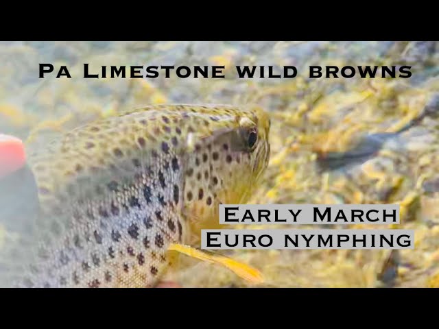 Incredible POCKET WATER Euro Nymphing 