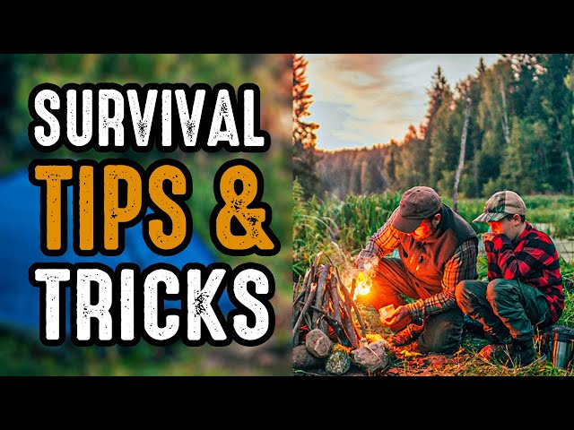 7 Wilderness Survival Tips to Stay Safe and Protected