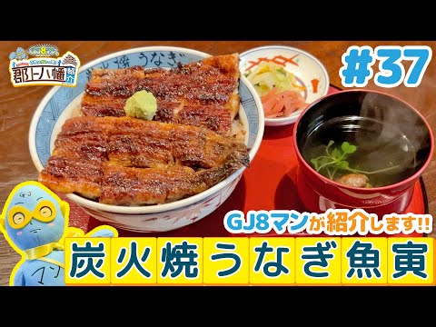 GJ8マンのこれがオレの町！郡上八幡紹介 ＃37【炭火焼うなぎ 魚寅】