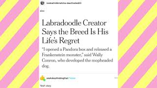 Regretful Inventors