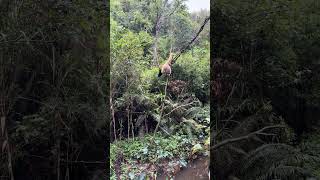 7562015862410186022
