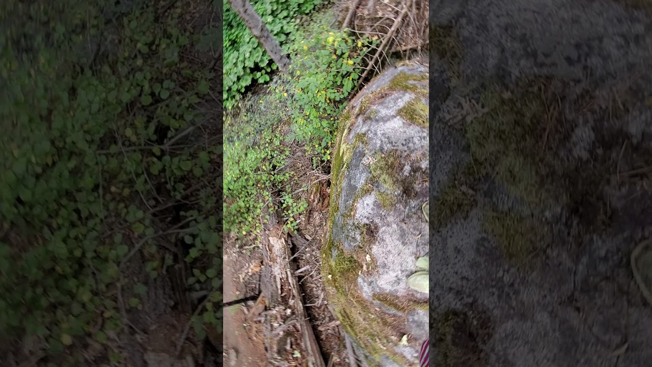 Trail by Oakhurst California September 2019.