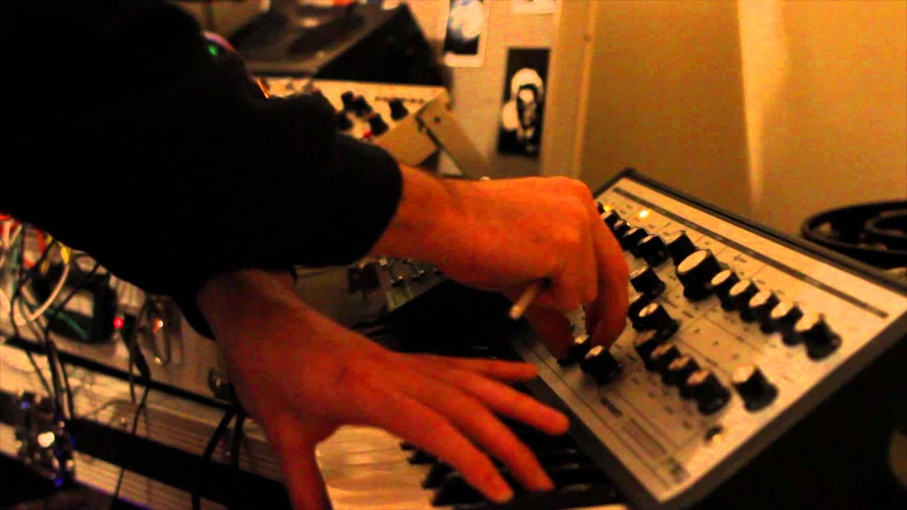 Swan Messiah - Electro Faustus Blackfly - First Impressions w/ Moog Sub Phatty & Eurorack Modular