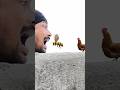 Bee, chickens & the goat in my mouth 👄 funny vfx magic video 😀🥰 #ytshorts #viral #funny