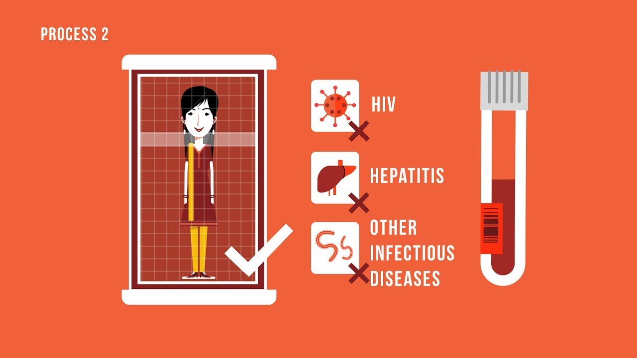 How To Donate Stem Cells
