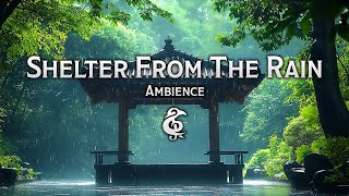 3 Hours of Shelter From The Rain | Realistic Ambience | D&D/RPG Series