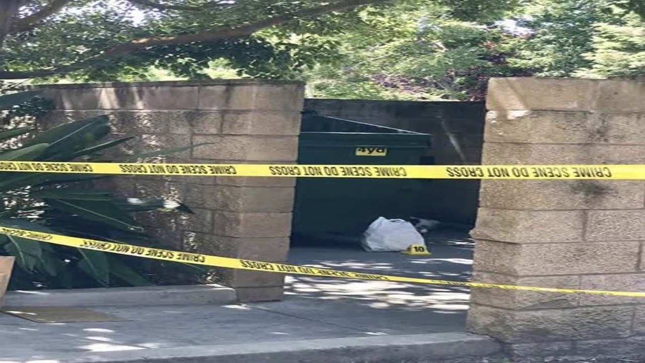 Teen accused of leaving newborn in dumpster cited for abuse - YouTube