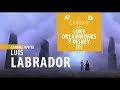 "Mi periplo hasta Sony, Deamworks y Disney!!!" con LUIS LABRADOR, Supervisor de modelado de FROZEN 2