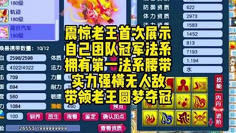 震惊老王首次展示自己团队冠军法系，翻页谛听实在太秀了！ - 天天要闻