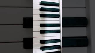 Dulcette電鋼琴 此折疊鋼琴momo買 方便隨時學習 和朋友們露營?