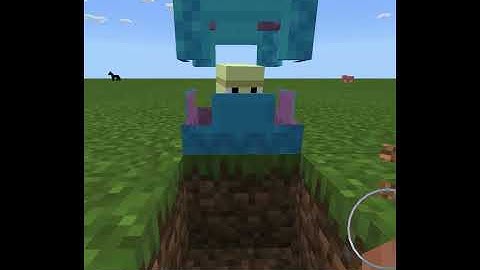 Minecraft Best Shulker Color