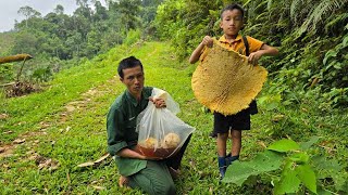 Harvesting honey, the kind uncle helped the orphan boy Khai catch honey bees and sell them