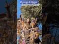¡Impresionante! El Huerto en el Domingo de Ramos en Málaga 2026