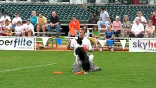 Danny & Guinan Skyhoundz Worlds 2008