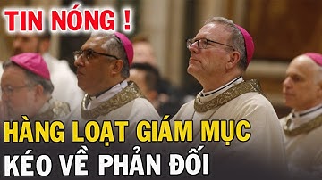 🔴Tin Mới! Bất Ngờ Hàng Loạt giám Mục Phản Đối Ngay Lúc Này - Xin Cầu Nguyện l Đinh Thập Tự Vlogs