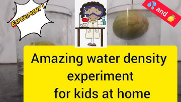 easy experiment that will amaze kids /lemon salt water experiment / density experiment