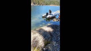 Beachcombing for Fresh Oysters and Mussels :) - BC Boating 2026