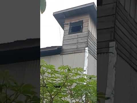 sp tarik senja dari guru kita andy sufar77