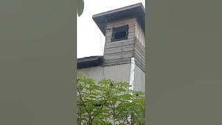 sp tarik senja dari guru kita andy sufar77