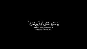 كرومة شاشة سوداء بصوت الشيخ #راشد_الأركاني#سورة_لقمان