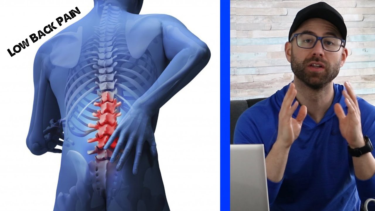 How a Physical Therapist Evaluates Low Back Pain [Explained]