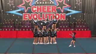 Black Widow Cheer Gym - Fireworks - Mini 1