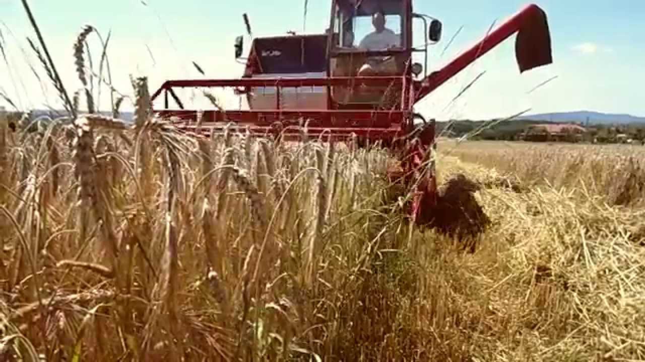 Żniwa 2015 Małopolska !! MF 206