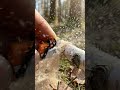Small wood cutting machine for cutting wood branches #comment #engagement #tools #fypシ #viralvideo