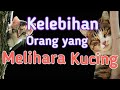 Manfaat memelihara kucing  kabar baik untuk pecinta kucing cat lover mari kumpul