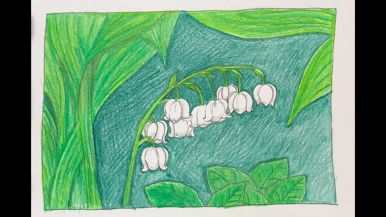 Hãy học cách vẽ hoa linh lan, một loài hoa thanh lịch và yêu quý. Với bút chì và giấy, bạn có thể tạo ra một bức tranh đẹp như thật chỉ trong vài bước đơn giản. Hãy xem hình ảnh liên quan để có thêm động lực và cùng khám phá bí quyết để vẽ hoa linh lan đẹp nhất nhé!