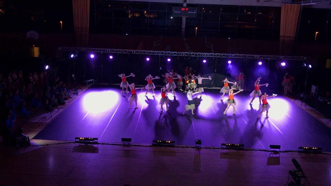 Gala 2018 Showdance Le Roi Lion