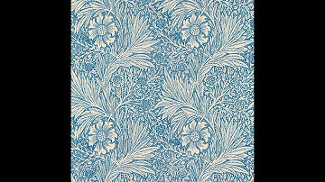 Вельд - Лунное молоко  (Russian Atmospheric Black Metal | Full Demo 2025)